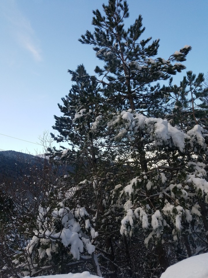 ❄❄❄