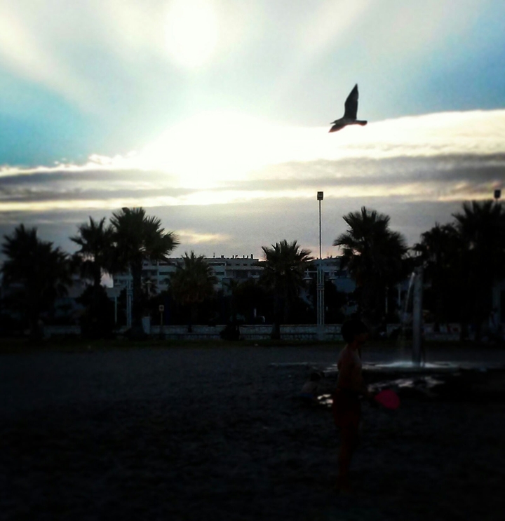 Atardecer