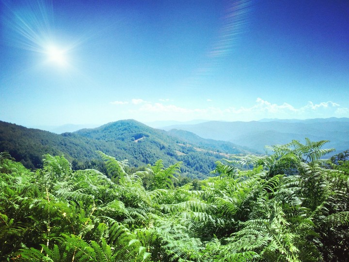 NATURE
