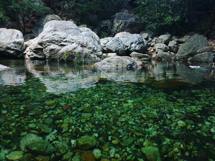 Reflecting serenity