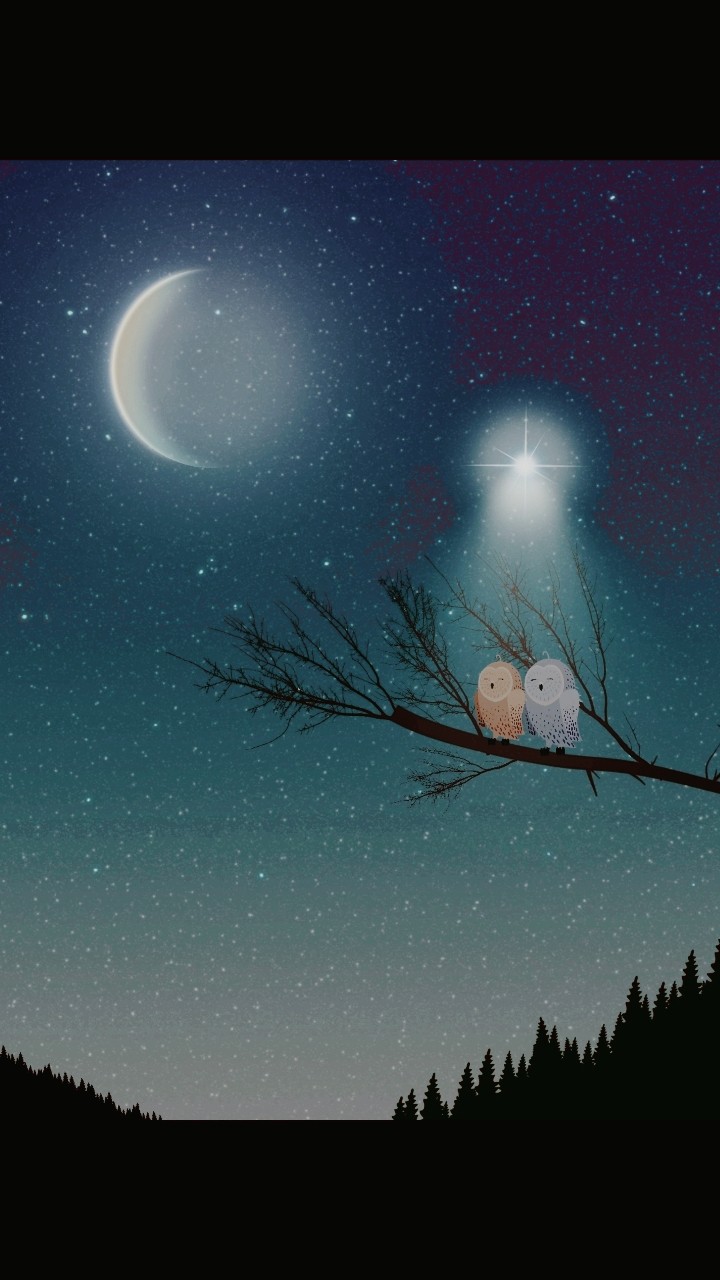 Twinkle twinkle