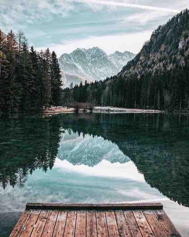صورة من الطبيعة | A picture of nature
