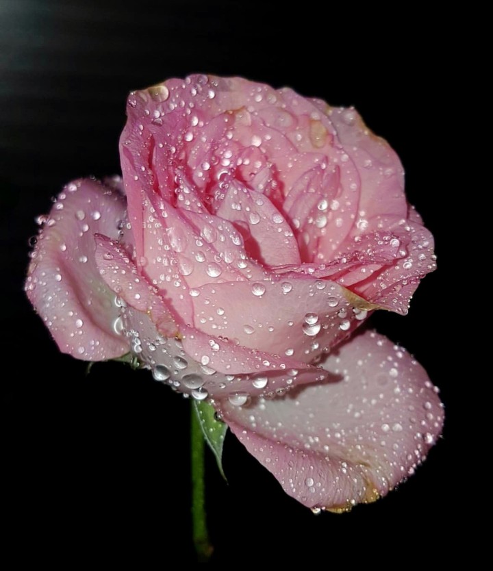 Drop