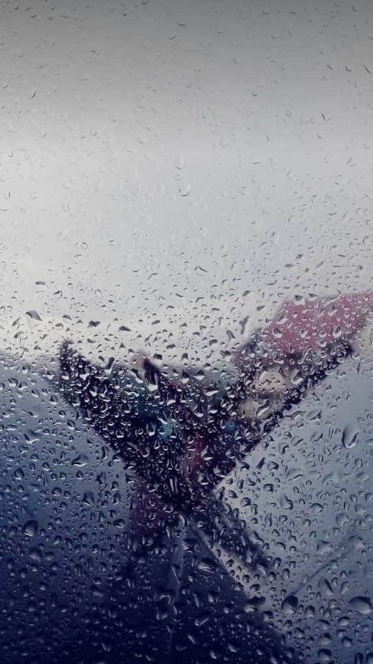 rain
