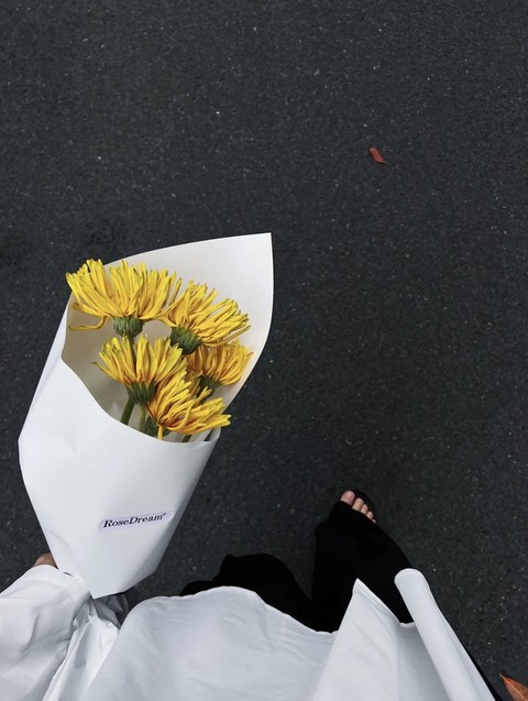 обои plant, Bouquet