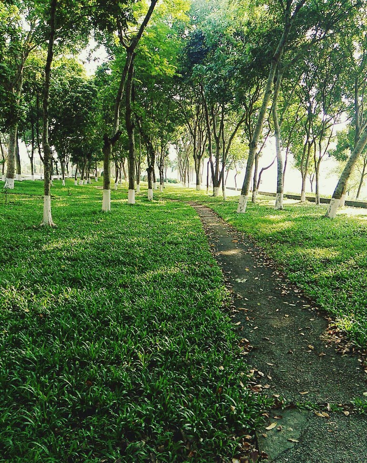 love green