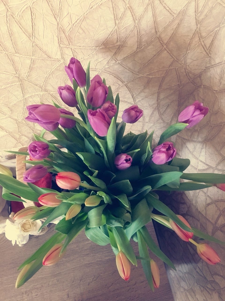 spring