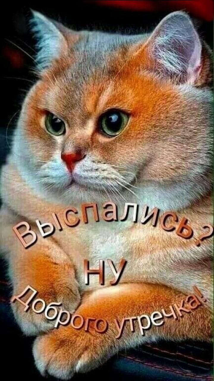 Good morning