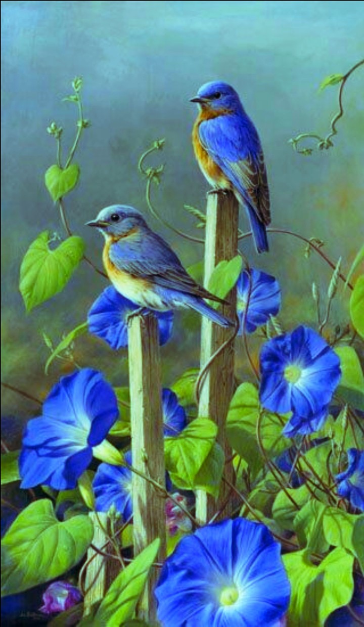 blue bird