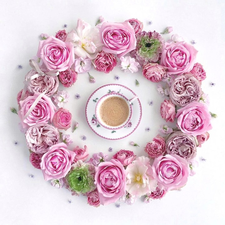 Good morning ❤️