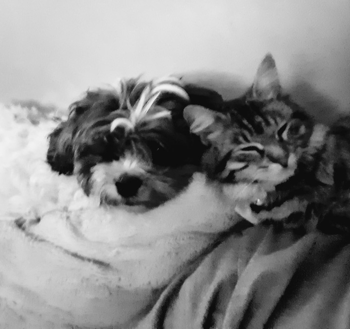 Samson and Delilah