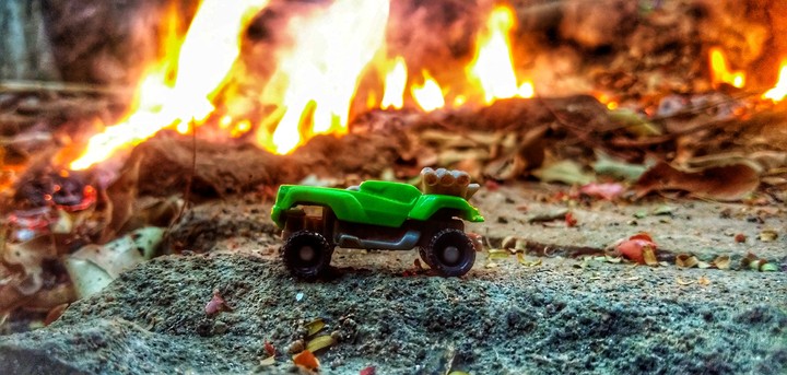Back yard car