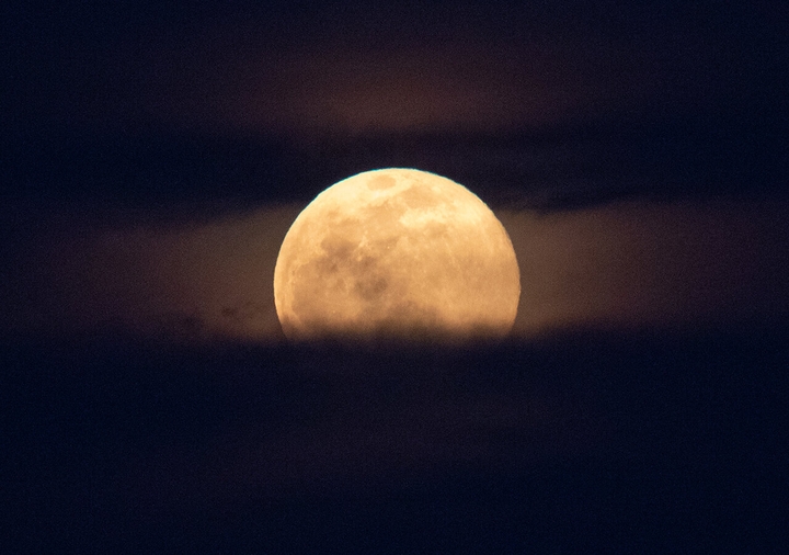 Moon