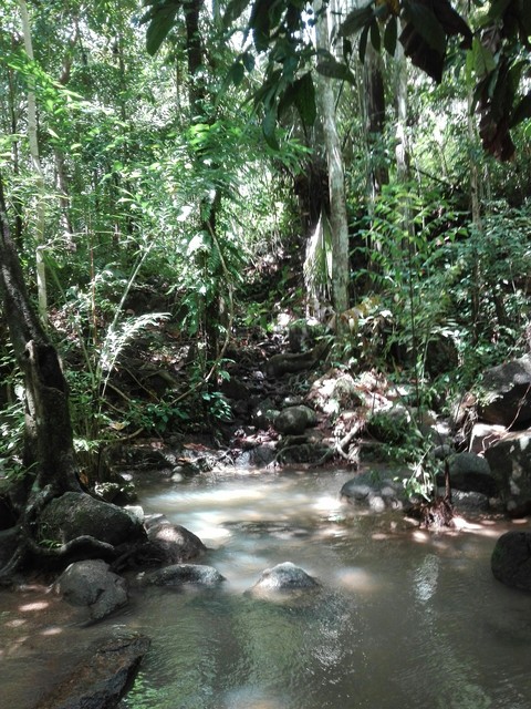 Kathu Waterfalls, Phuket Thailand