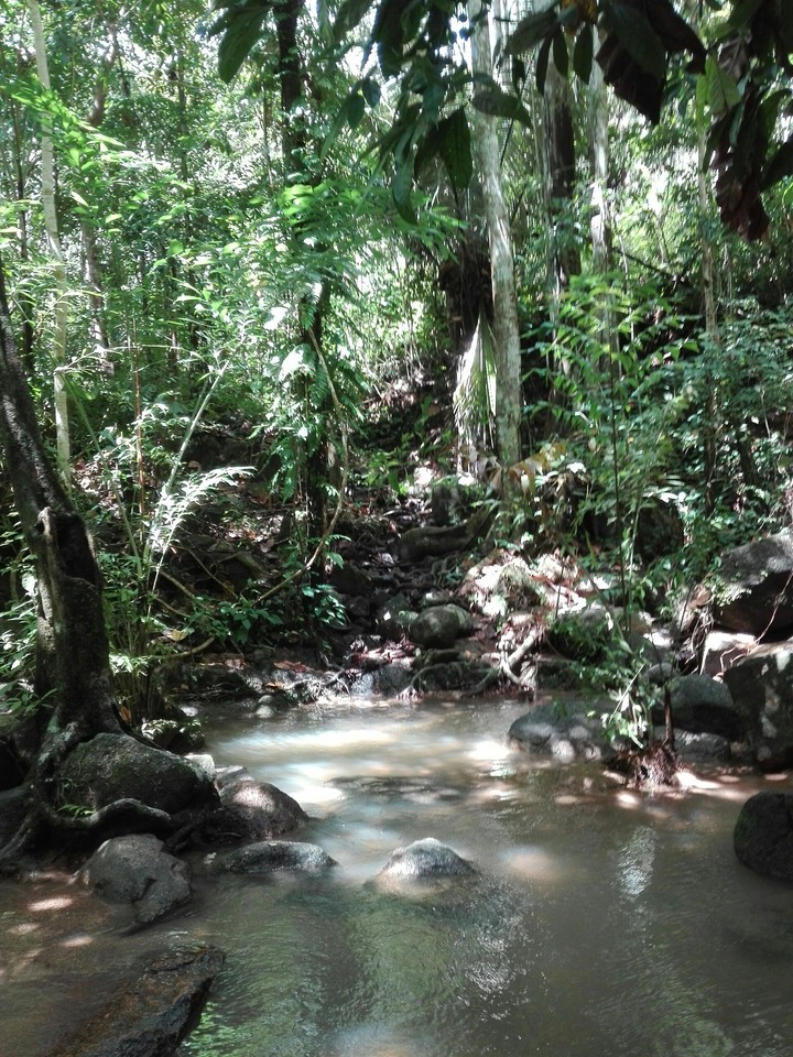 Kathu Waterfalls, Phuket Thailand