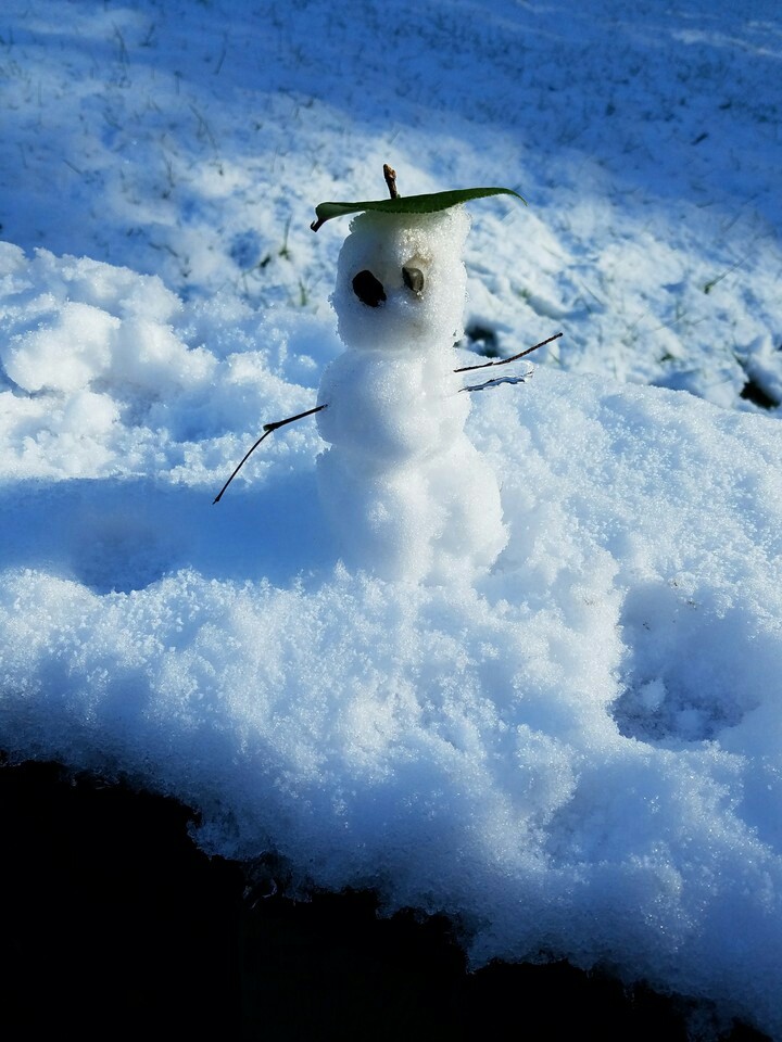 Snow Man
