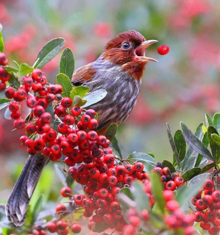 ❤❤❤