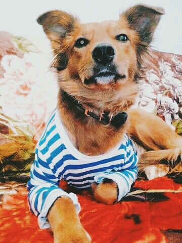 десант