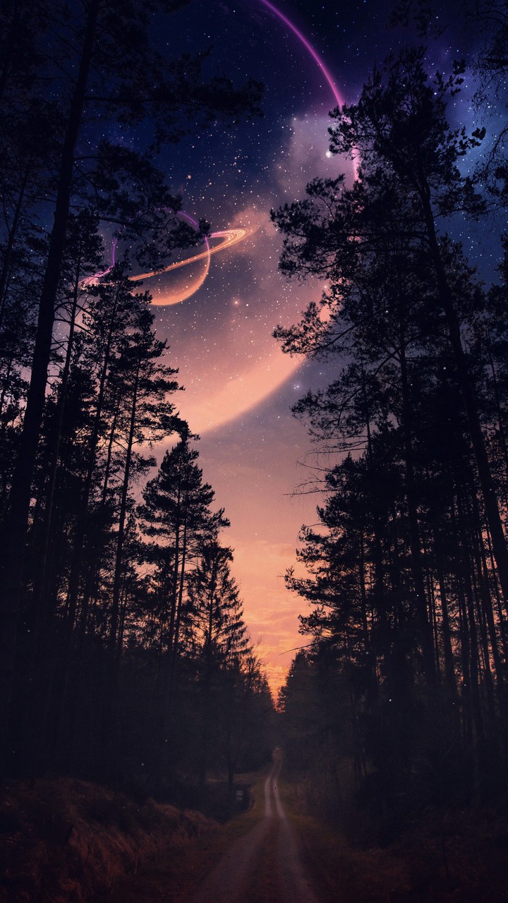 picture