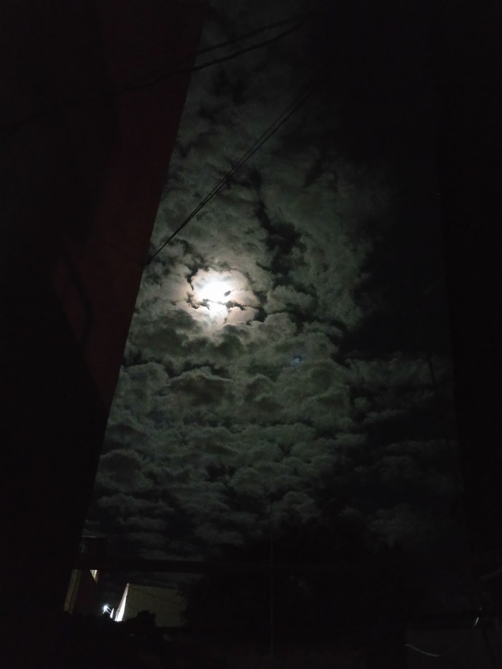 Volmaan