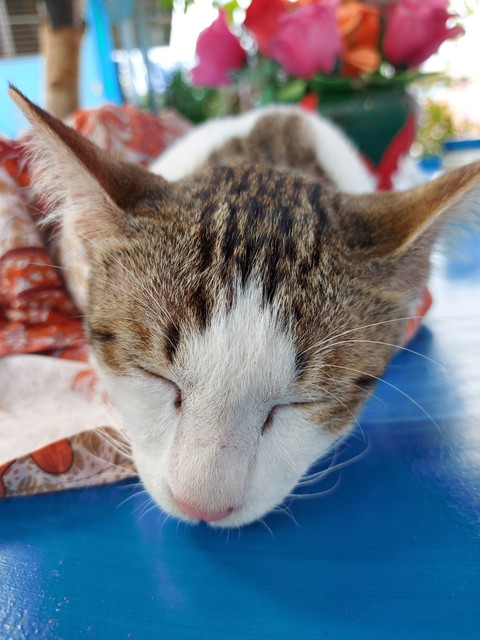 I'm sleepy Mom