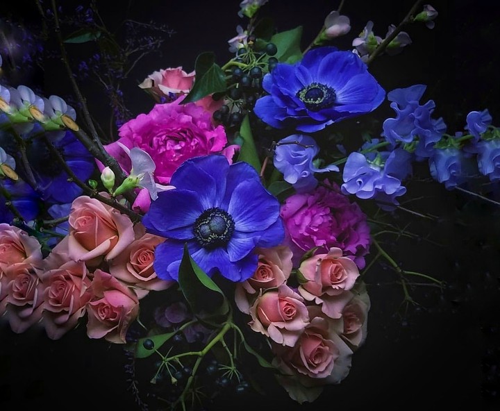 bouquet