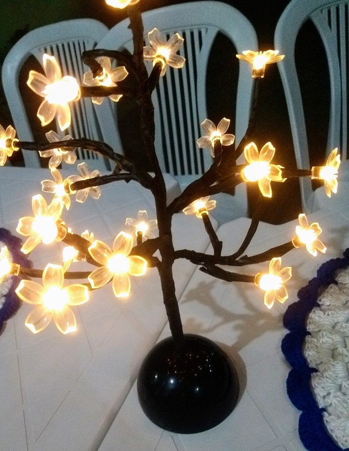 Luz