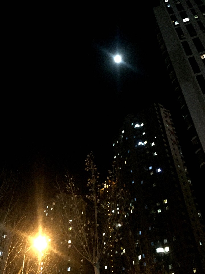밤하늘