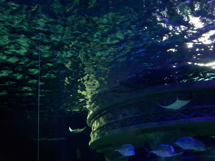 underwater world