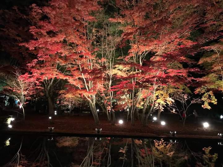 spring night