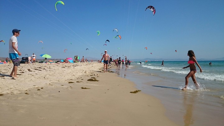 Canopy Beach