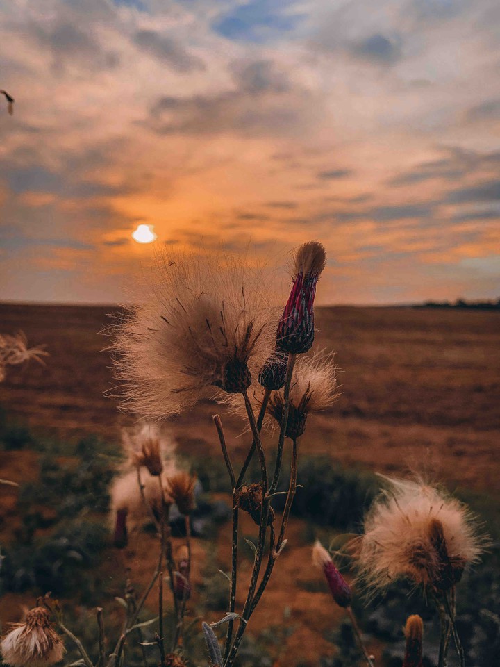 last summer days