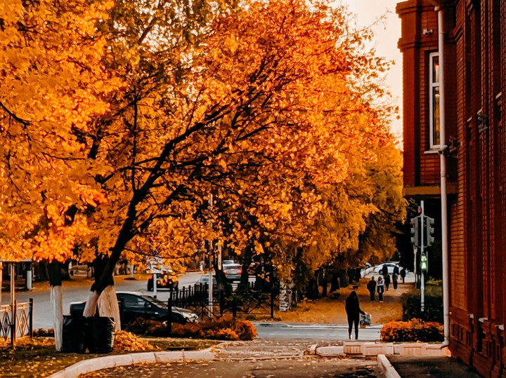 город + осень