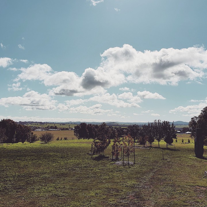 clouds in the sky