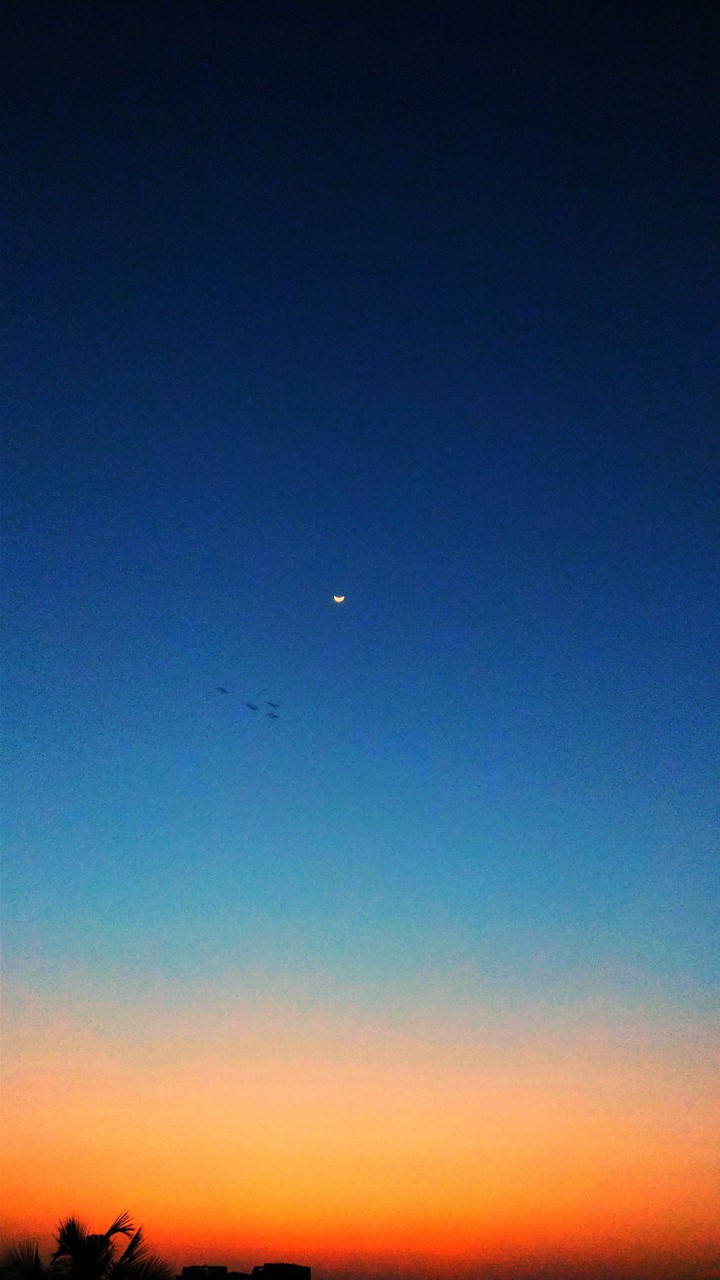 Beautiful Sunset