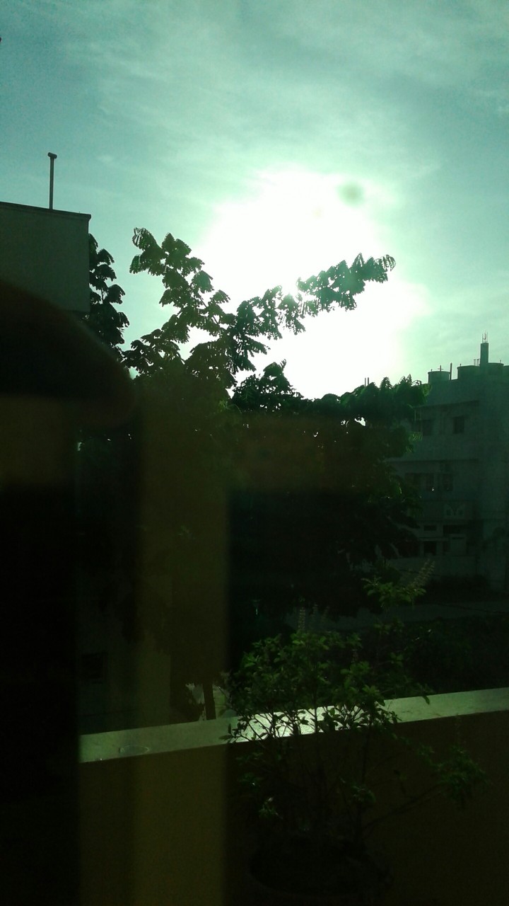 sunrise mornings