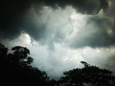 #ari_clicked