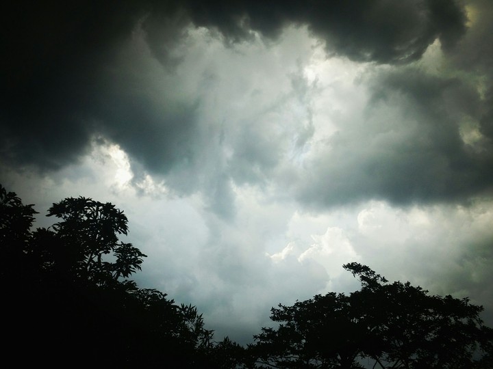 #ari_clicked