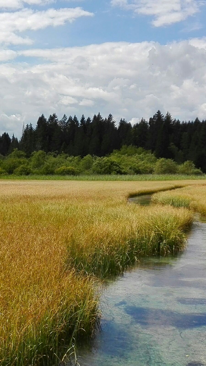 stream