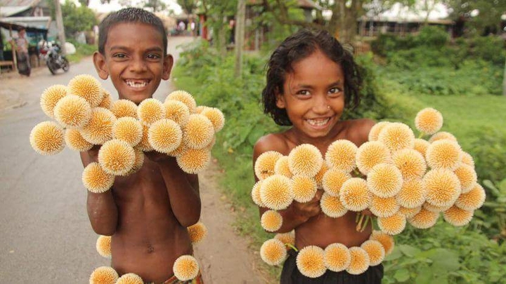 bangladeshi_kids