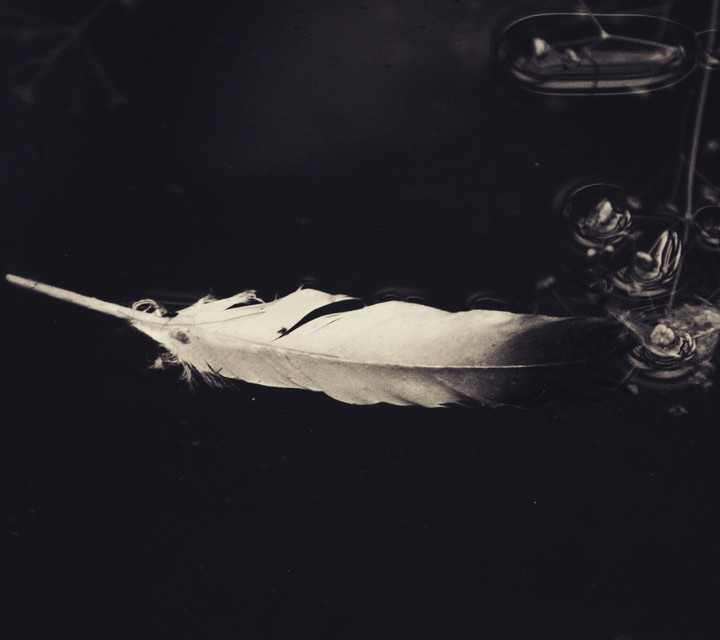 monochrom