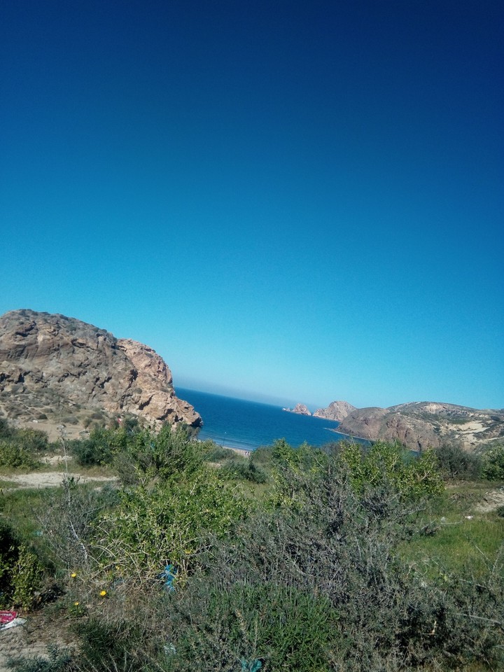 Beautiful Landscape