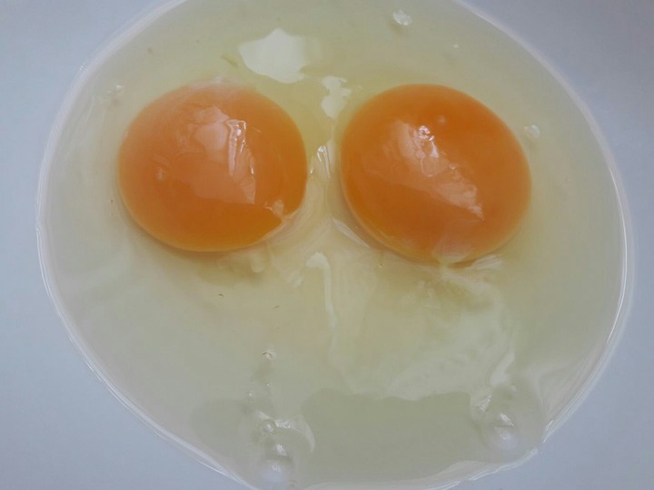 eggs
