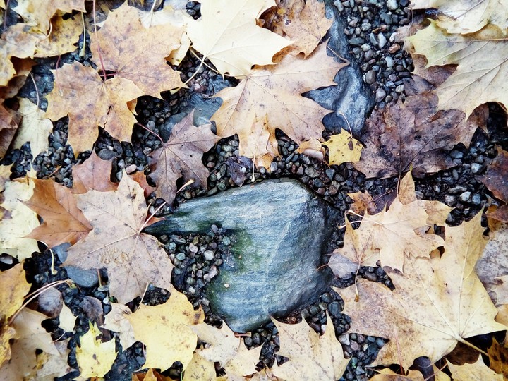 Rock