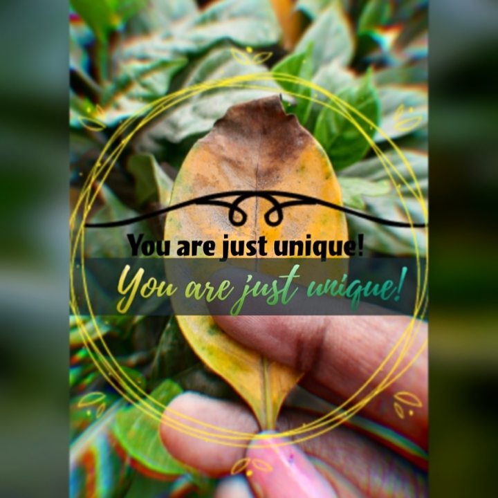 Unique!