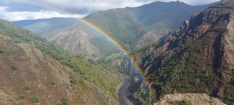 rainbow, vegetation wallpapers