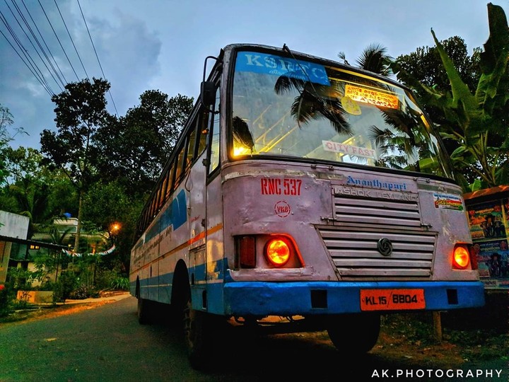 bus