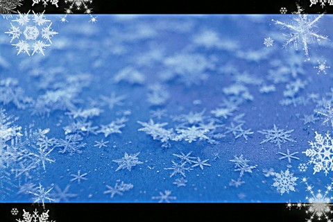 snowflakes❄