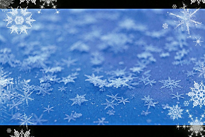 snowflakes❄