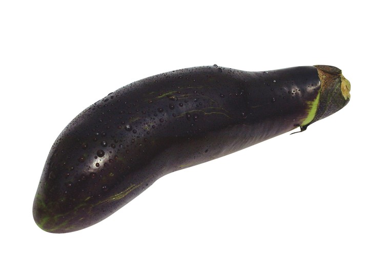 음식이미지